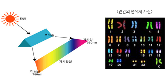 이론